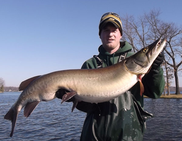 Man holding a large muskie