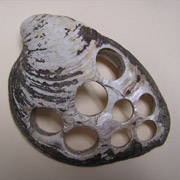 An old shell from a button factory with buttons punched out