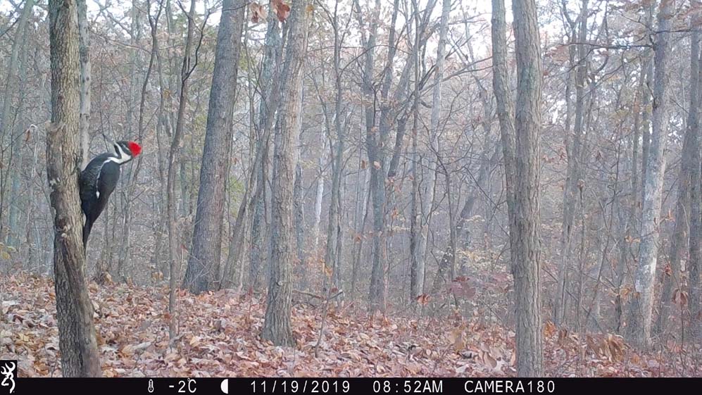 DNR Snapshot Indiana