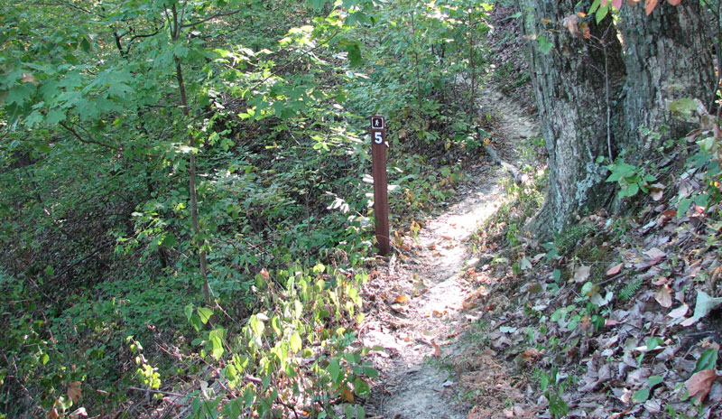 Knobstone Trail