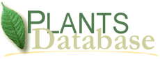 Logo - PLANTS Databse
