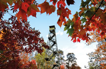 Firetower in fall