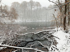 Gary was hiking the Upland Trail at Pinhook Bog within Indiana Dunes National Park and came upon this winter scene. He is a retired automotive and parks & recreation engineer who volunteers for the National Park Service. Gary has subscribed to Outdoor Indiana for 15 years.