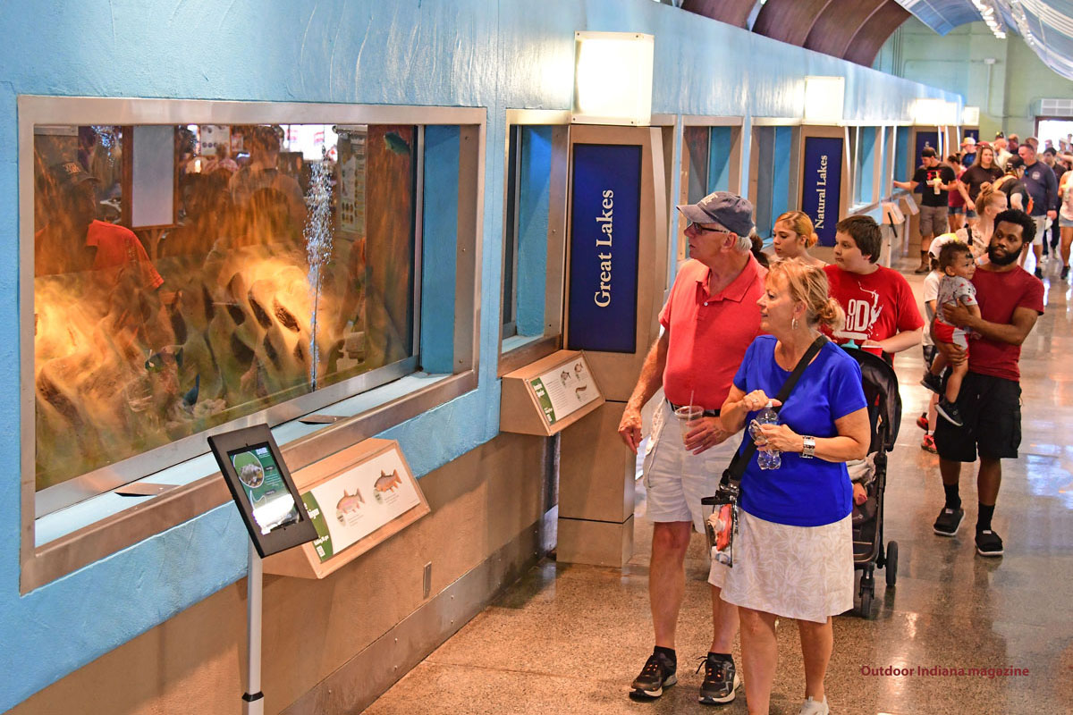People looking at fish in tanks