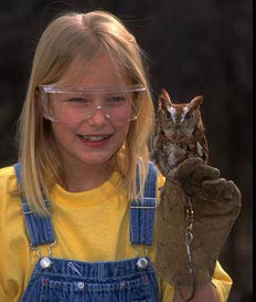 Girl holding a screech owl