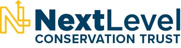 Next Level Trust Logo