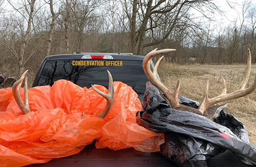 antlers in truck