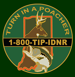 TIP logo