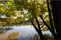 Crooked Lake Nature Preserve