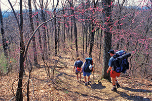 Hikers on a trail during spring.