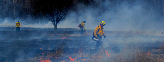 Prescribed fire at Prophetstown State Park