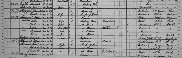 Census record