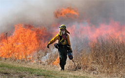 Prescribed burn at Brown County State Park