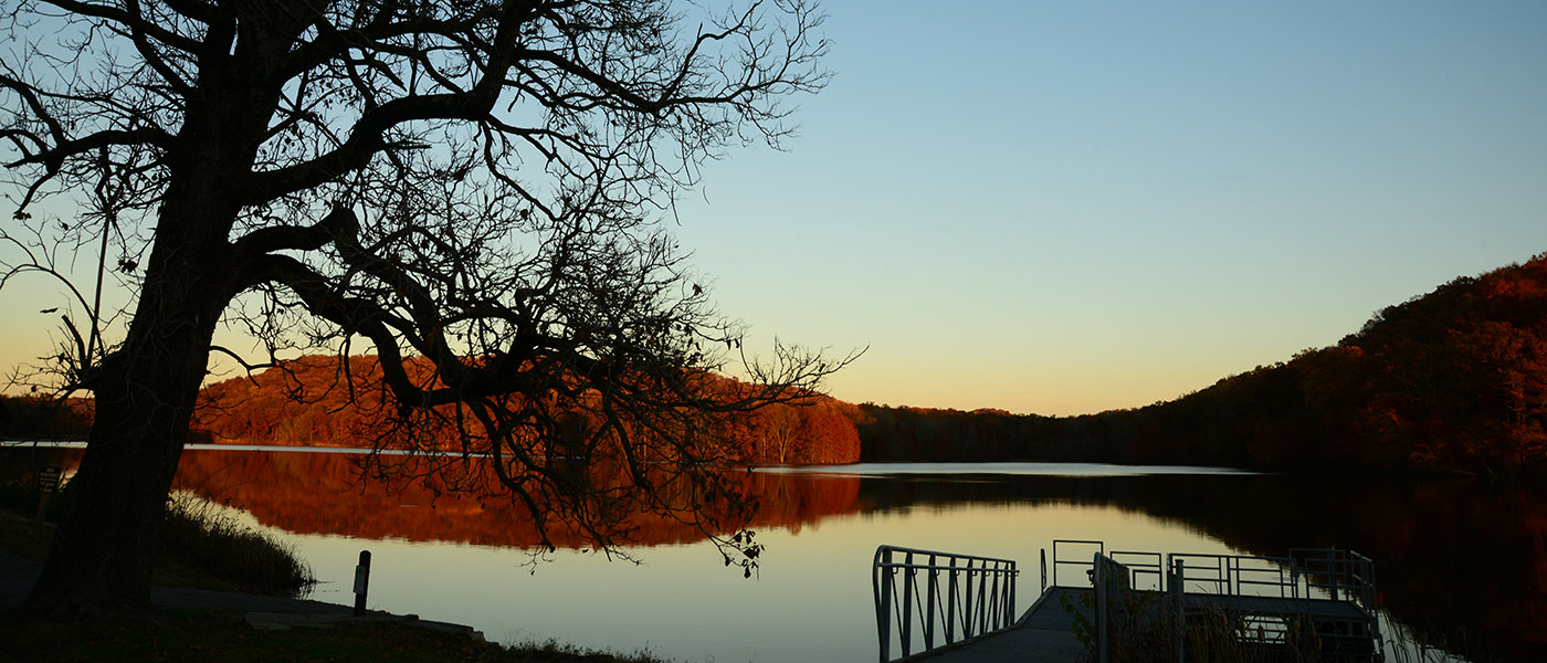 A tree and a lake at sunset