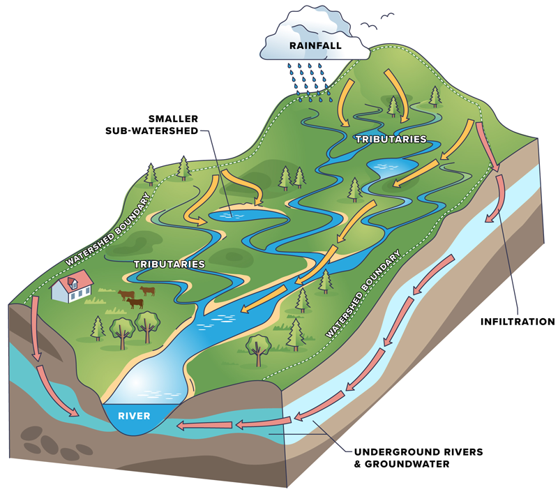 Diagram of watershed showing features