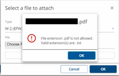 A snapshot of the system rejecting an invalid file type with the message, "File extension .pdf is not allowed. Valid extension(s) are: .txt