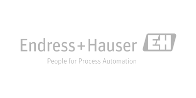 Endress and Hauser Logo