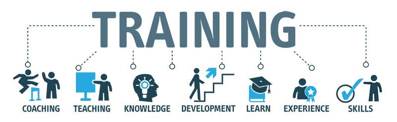 Graphic depicting aspects of training: coaching, teaching, knowledge, development, learn, experience, and skills.
