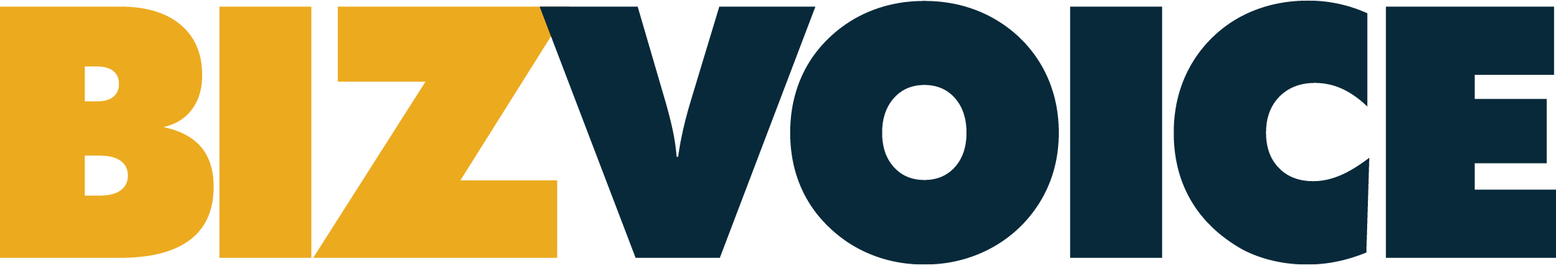 Biz Voice Logo