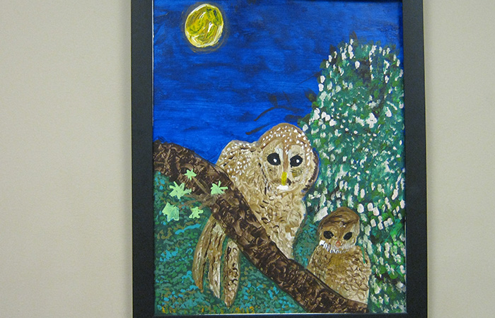 Dawn's Midnight Owls