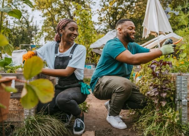 Man and woman working in a garden.