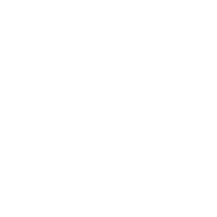 Shield icon