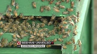 Bee Swarm1 Indiana Governor's residence gets honey bee hive