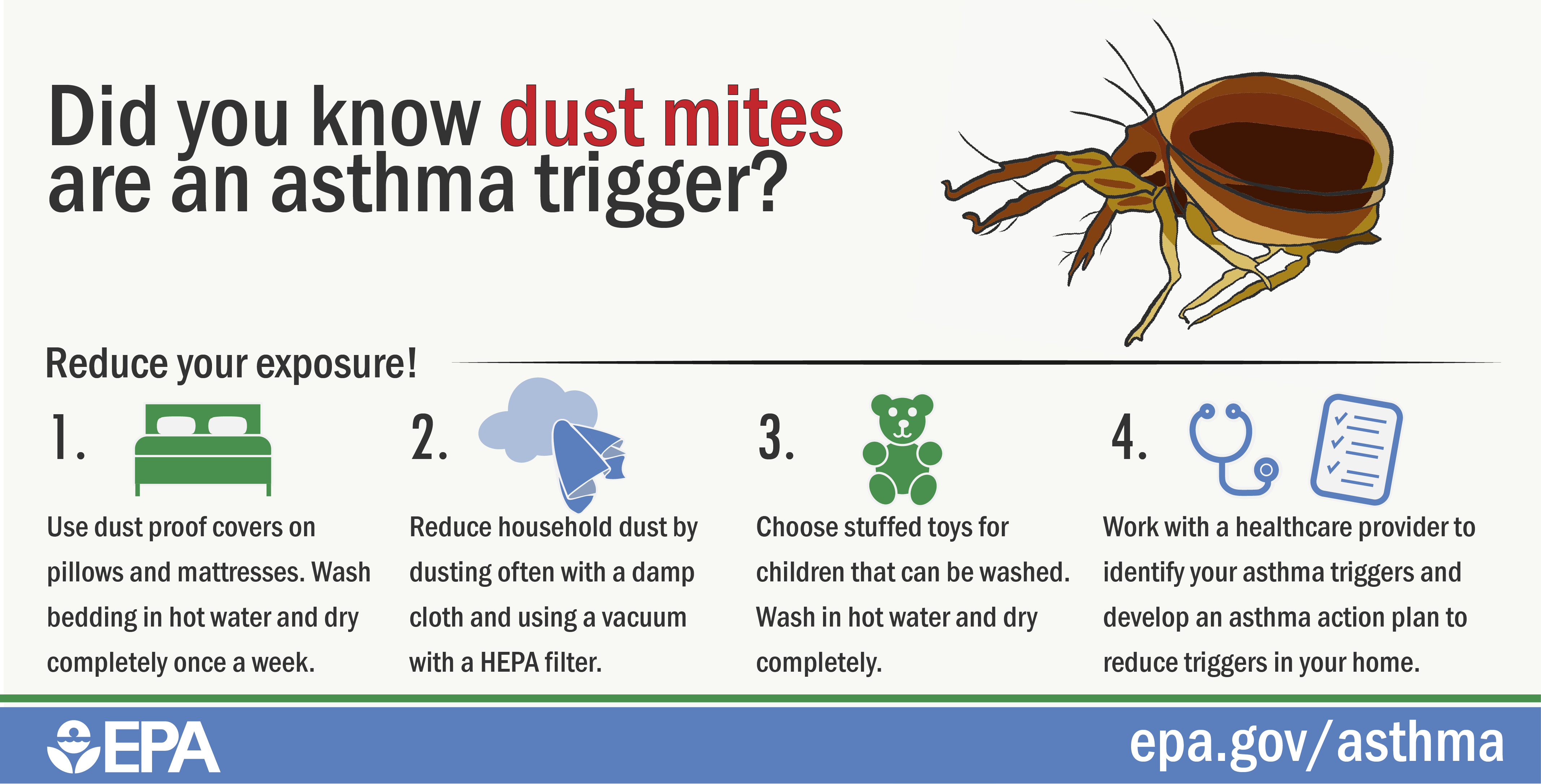 dust mites