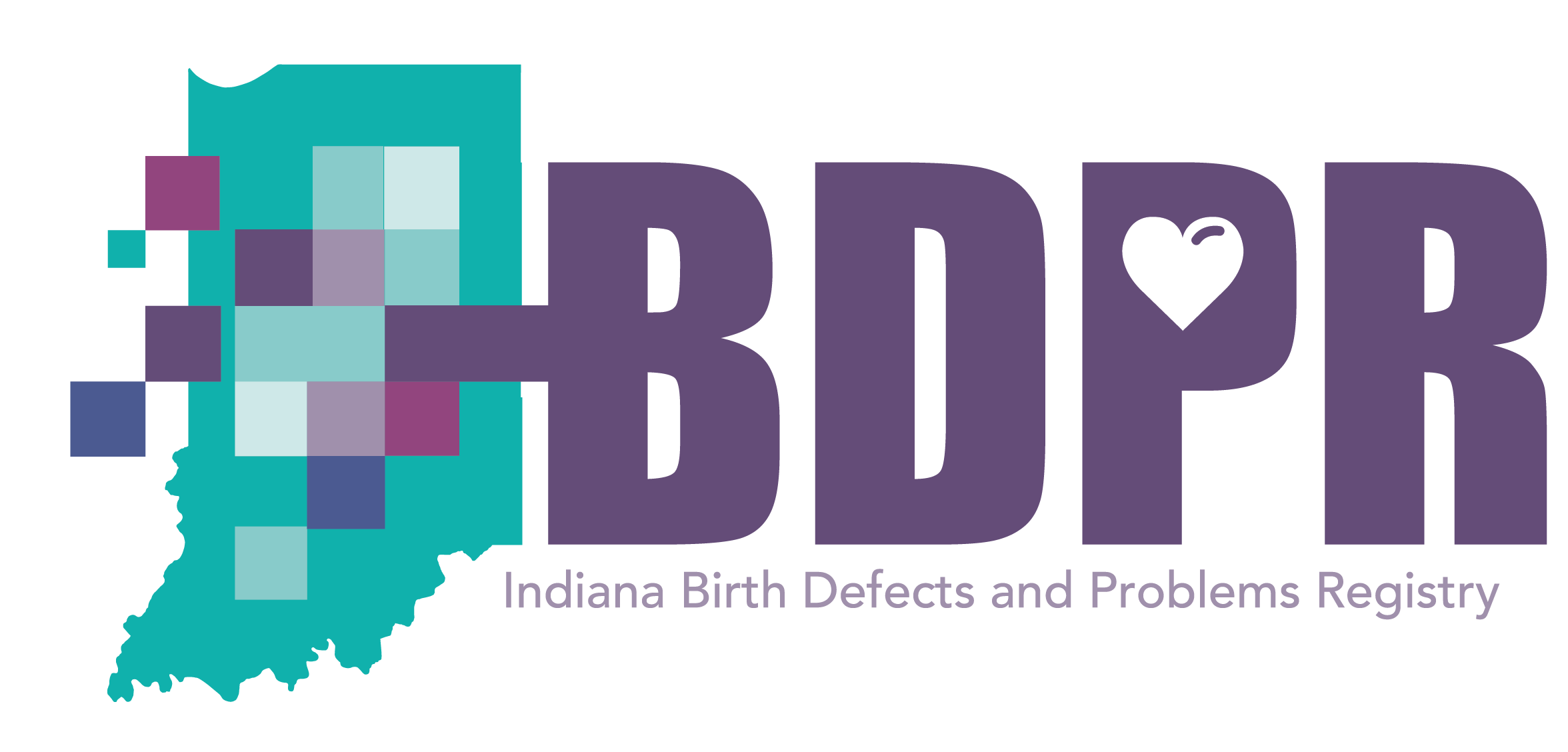 IBDPR Logo