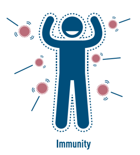 Immunity Graphic