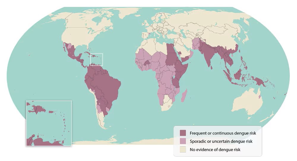 World map highlighting areas of dengue risk