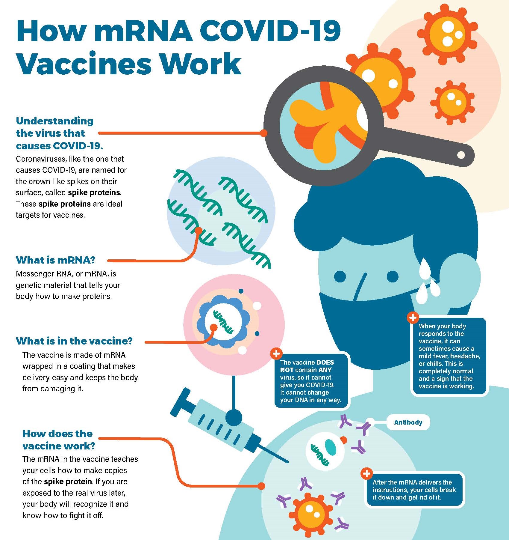 How mRNA COVID-19 Vaccines Work