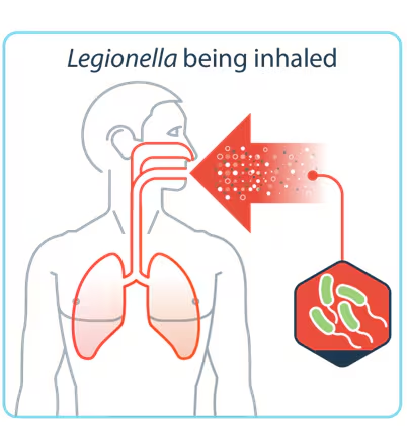 Transmission - Inhalation