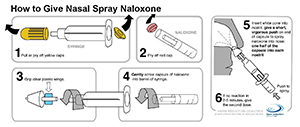 naloxone atomizer instructions