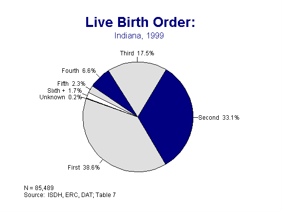 This figure is a pie chart showing the percentage of births by birth order, as in first, second, third birth etc. to the mother in 1999