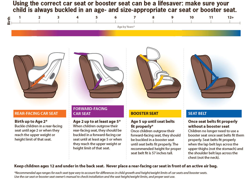 Motor Vehicle Safety