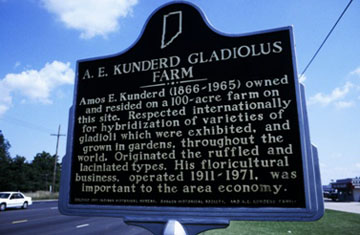 A. E. Kunderd Gladiolus Farm