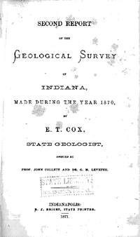 Geological Report