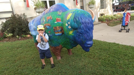 Bison Harrison County