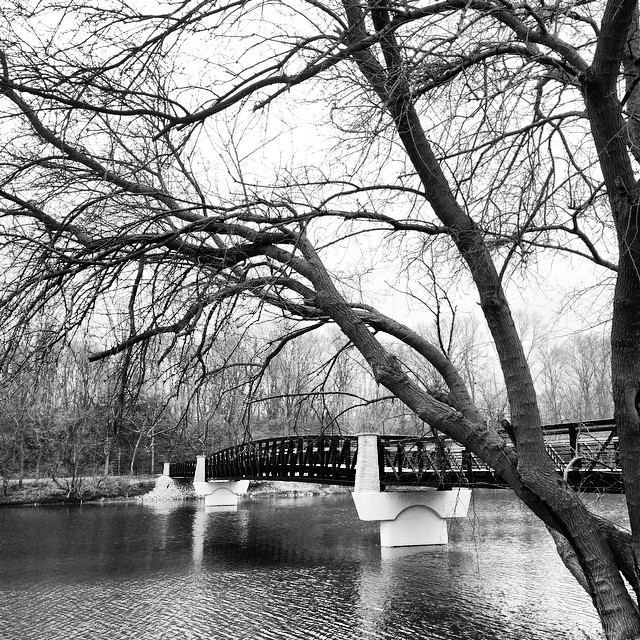 Cass County Instagram