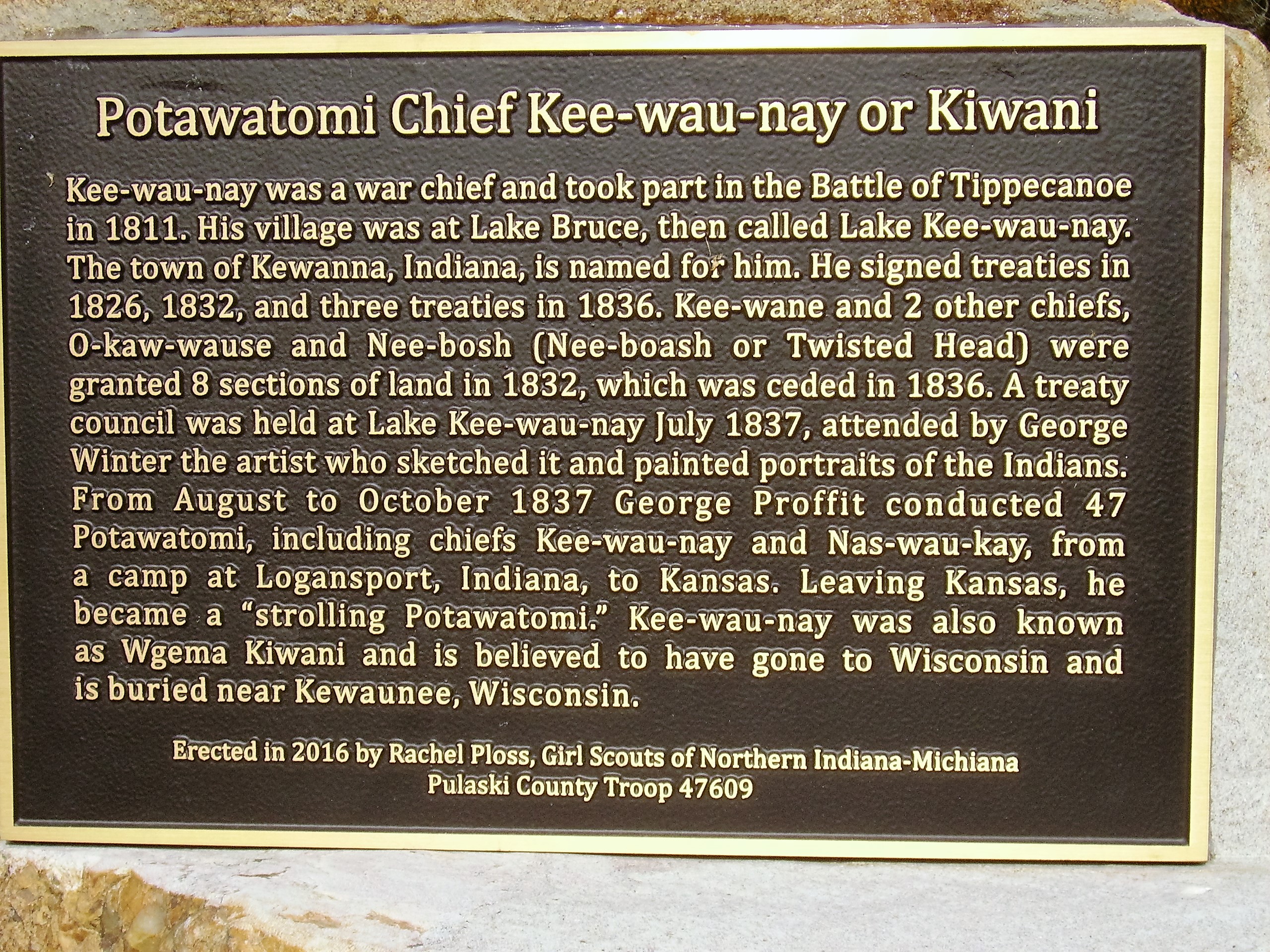 Fulton County Plaque