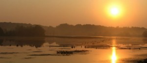 More than 280 species of birds have been seen at Muscatatuck, and the refuge is recognized as a “Continentally Important” bird area.