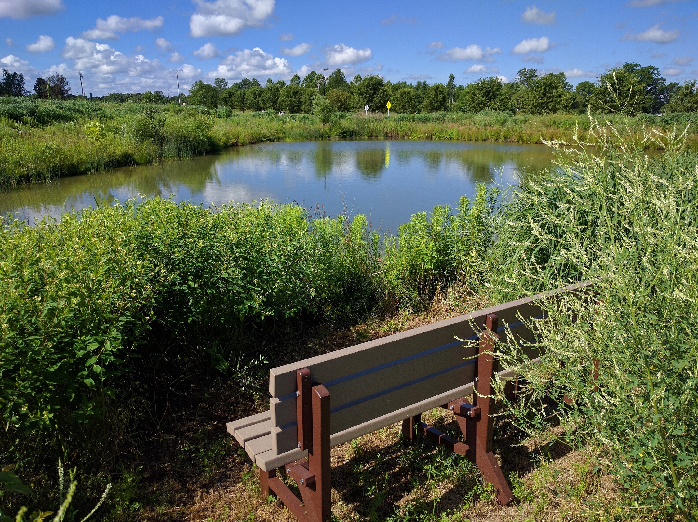 Prairie Walk 3