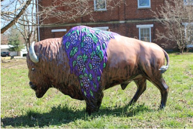 Switzerland County 2