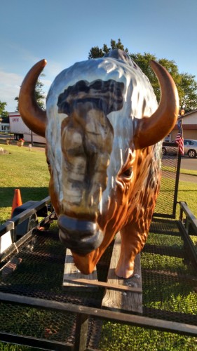 Bison Head B