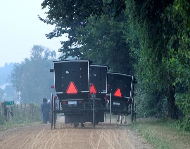 Amish Buggy