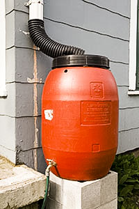 rain barrel