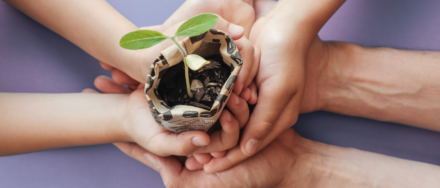 image of hands holding a plant in a pot made of recycled materials