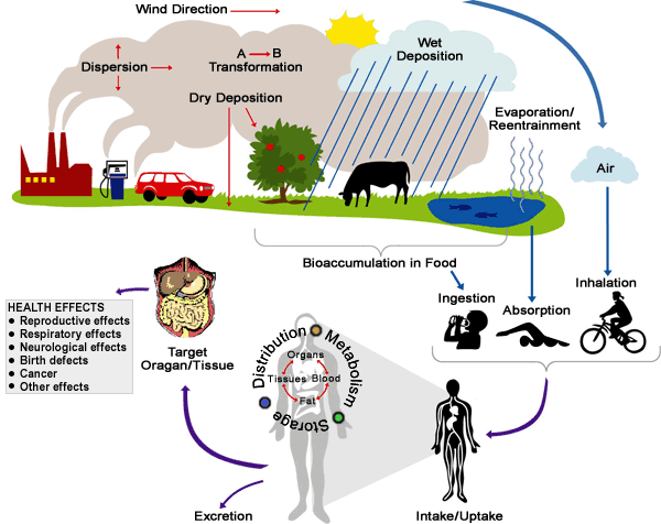 how chemicals may enter the environment