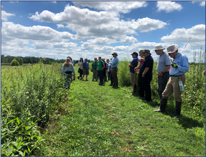 LC Nature Park and Eagle Marsh: August 10, 2022
